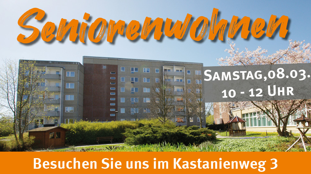 WbG Plauen 