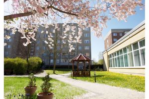 Wohnung - 172603/3/15