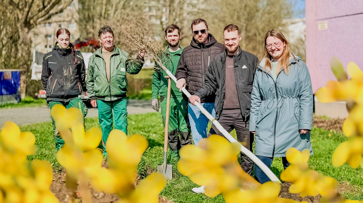 Baumpflanz-Challenge